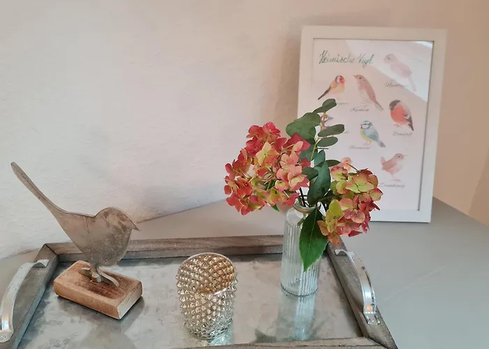 Apartamento Bird's Nest In Der Altstadt, Offenes Fachwerk *